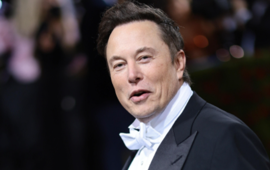 Musk To Be Interim Twitter CEO After $44 Billion Buyout